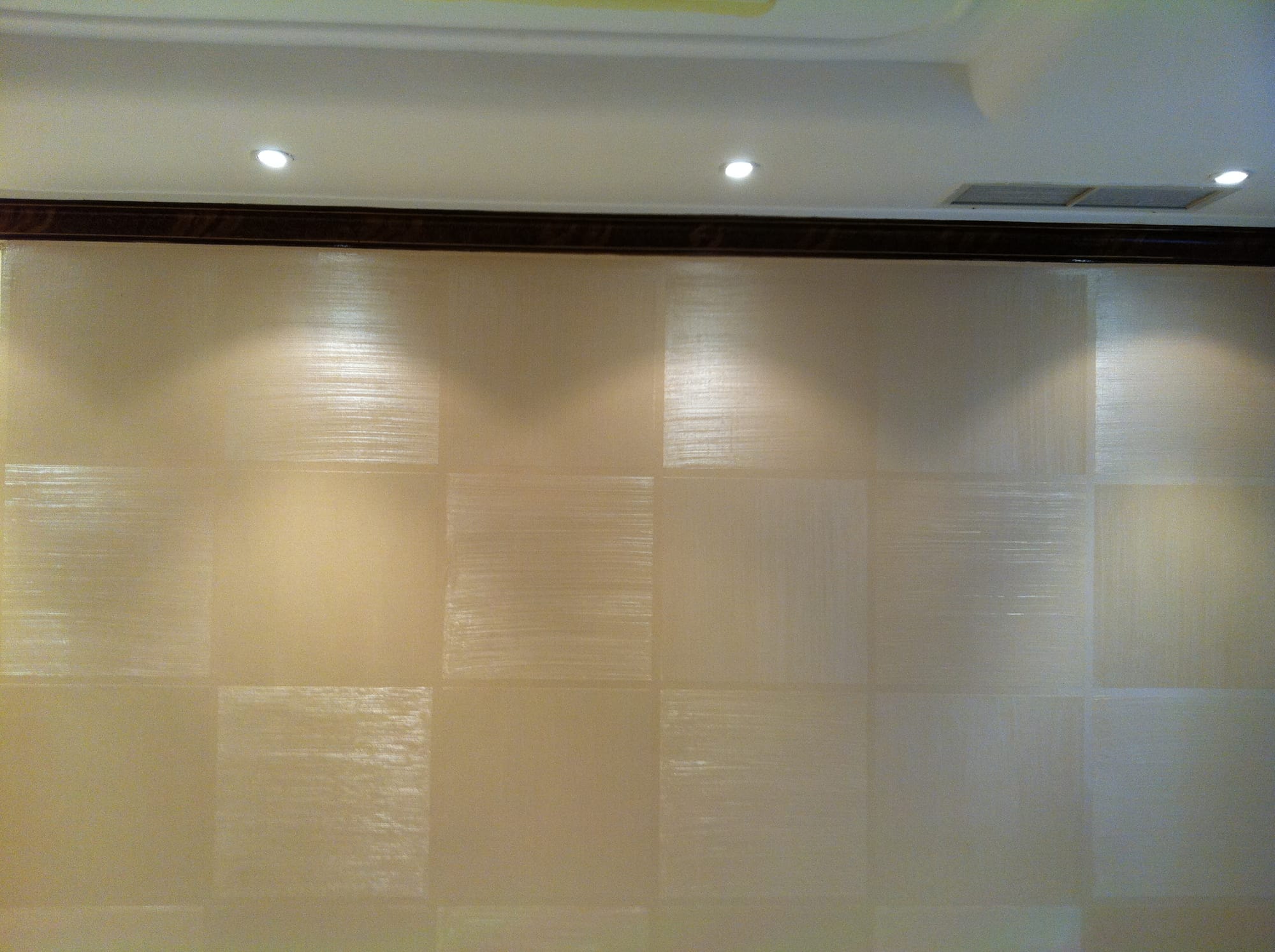 الاصباغ الداخلية