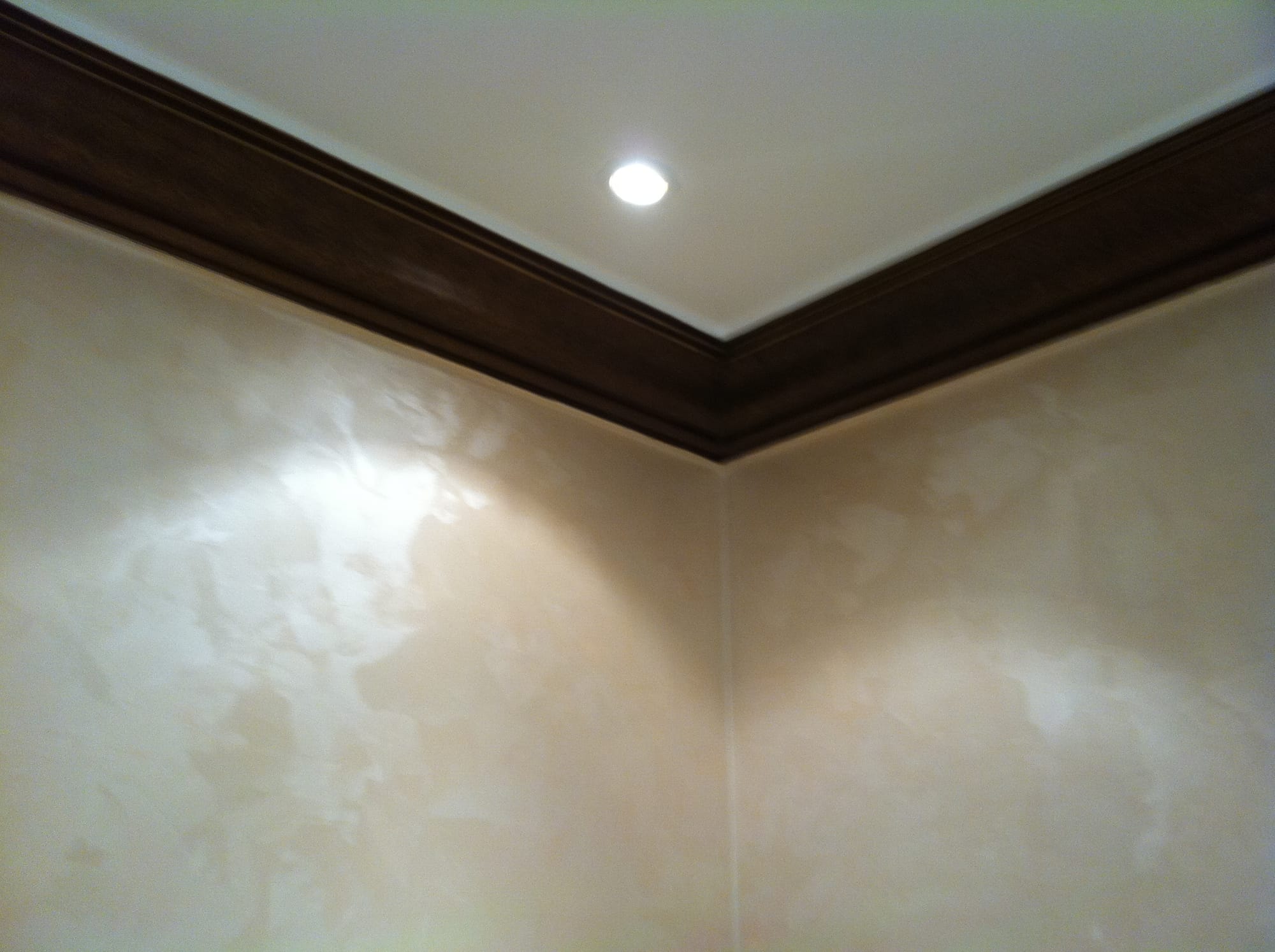 الاصباغ الداخلية