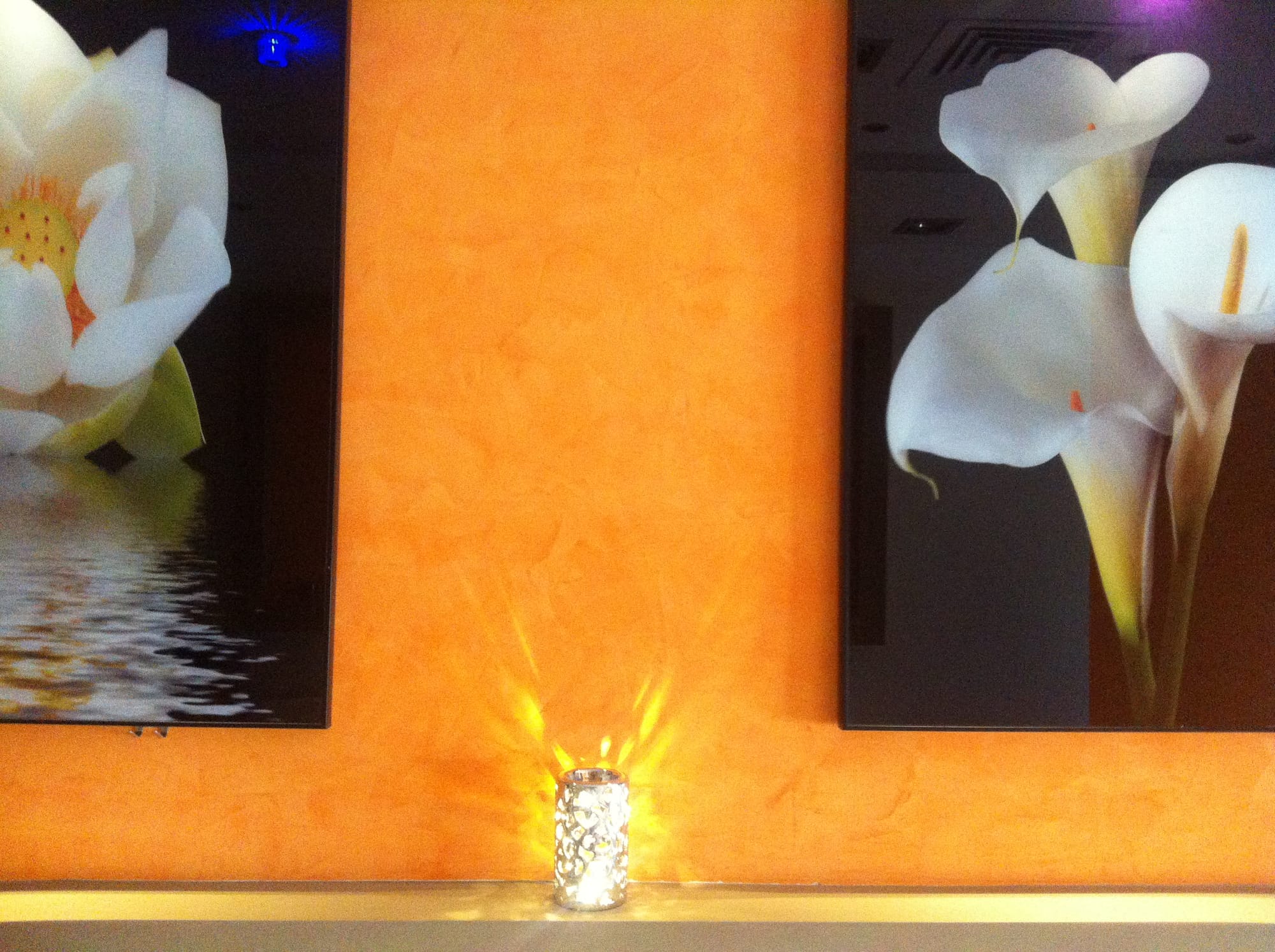 الاصباغ الداخلية