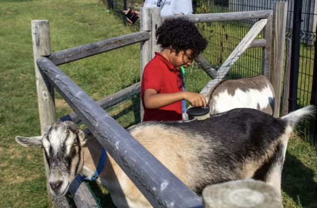 Lift For Life Academy, Elementary