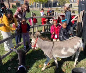 Lift For Life Academy, Elementary