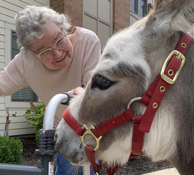 Friendship Village Chesterfield - Skilled Care