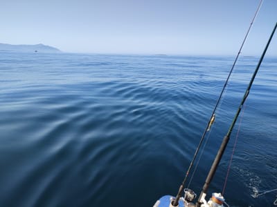 Norvég tengeri horgászat