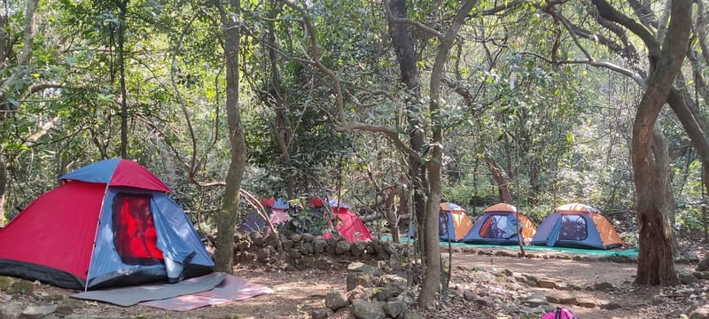 Post Monsoon Rajmachi