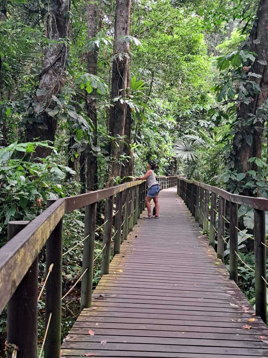 5- VISITA LOS PARQUES NACIONALES