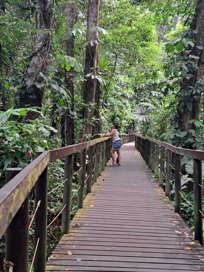 5- VISITA LOS PARQUES NACIONALES