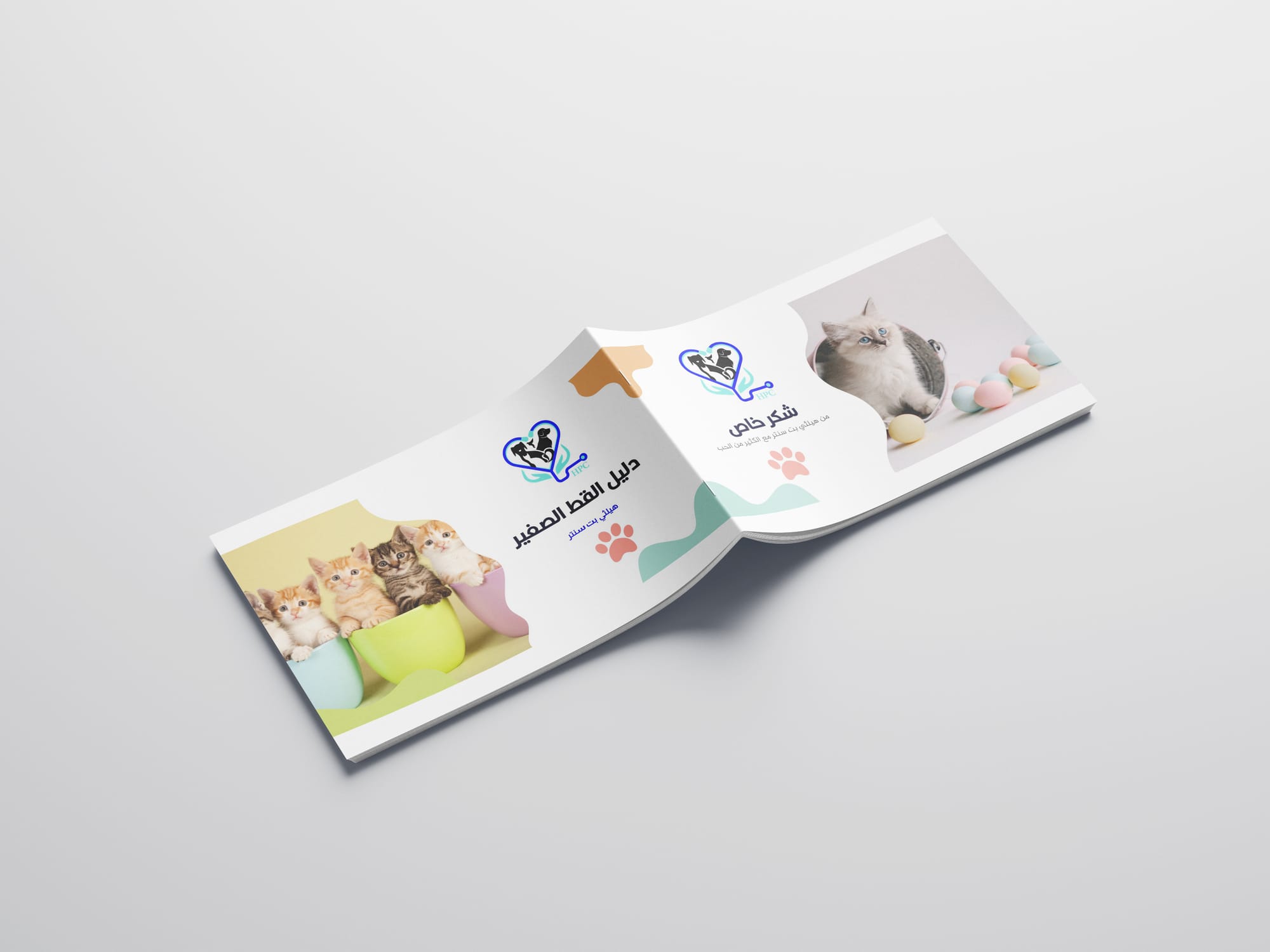 مجلات - فولدر - بروشور