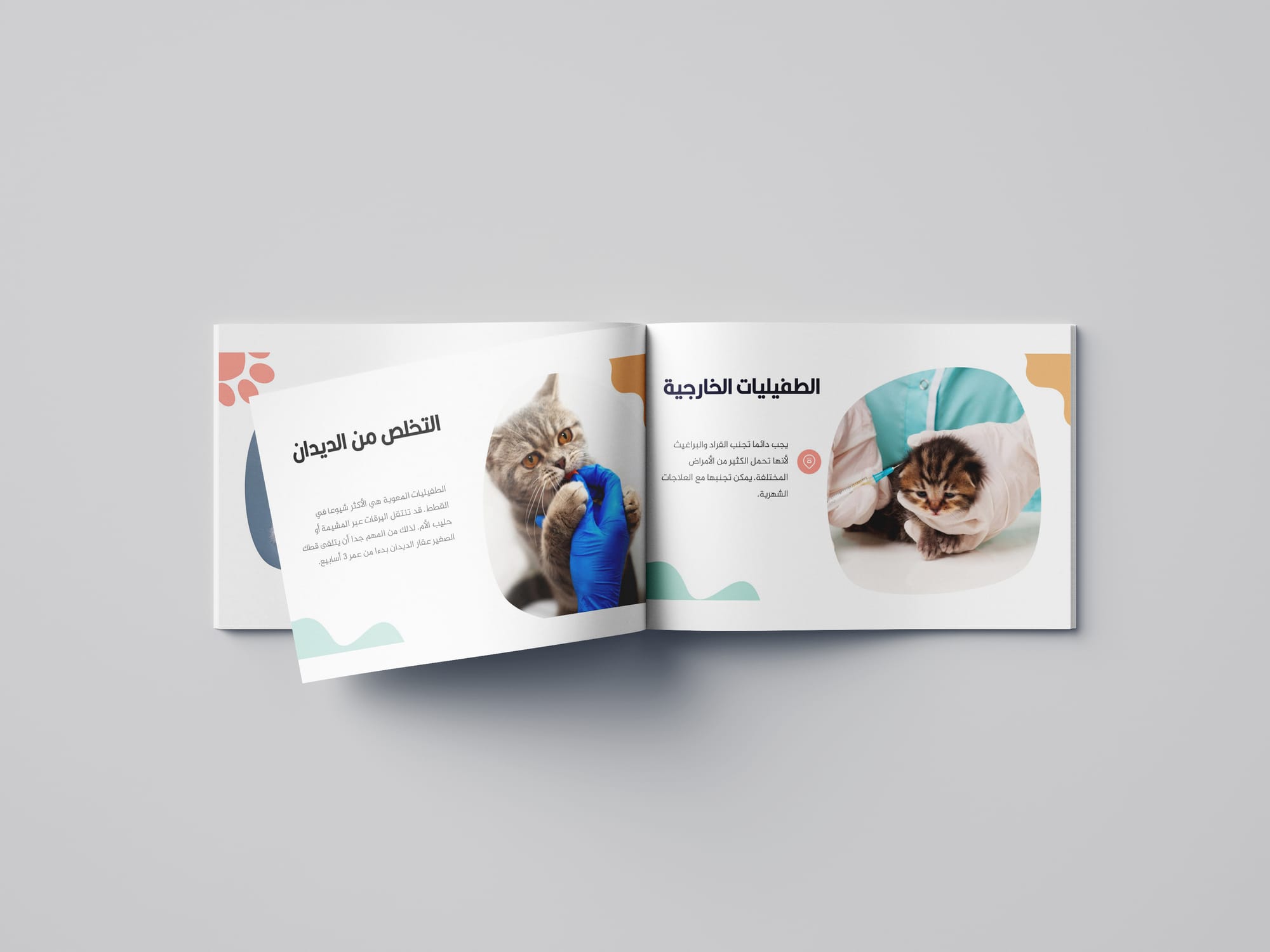 مجلات - فولدر - بروشور