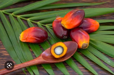 5 STEPS TO MEET FOOD SAFETY GLOBAL STANDARDS