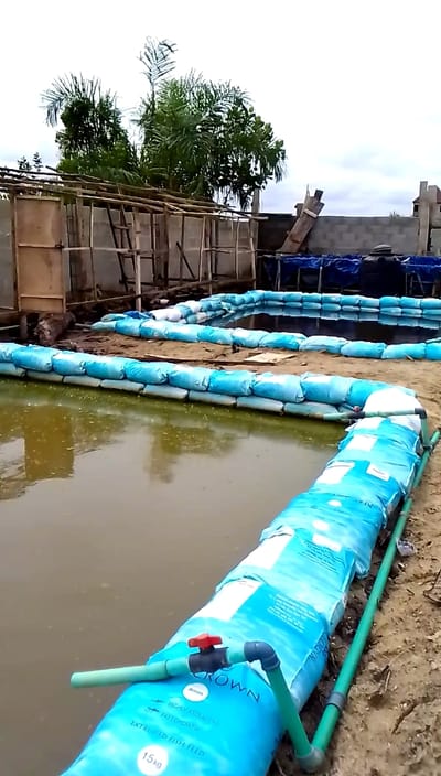 10 RULES TO BUILD A WILDLY SUCCESSFUL ORGANIC FISH FARM