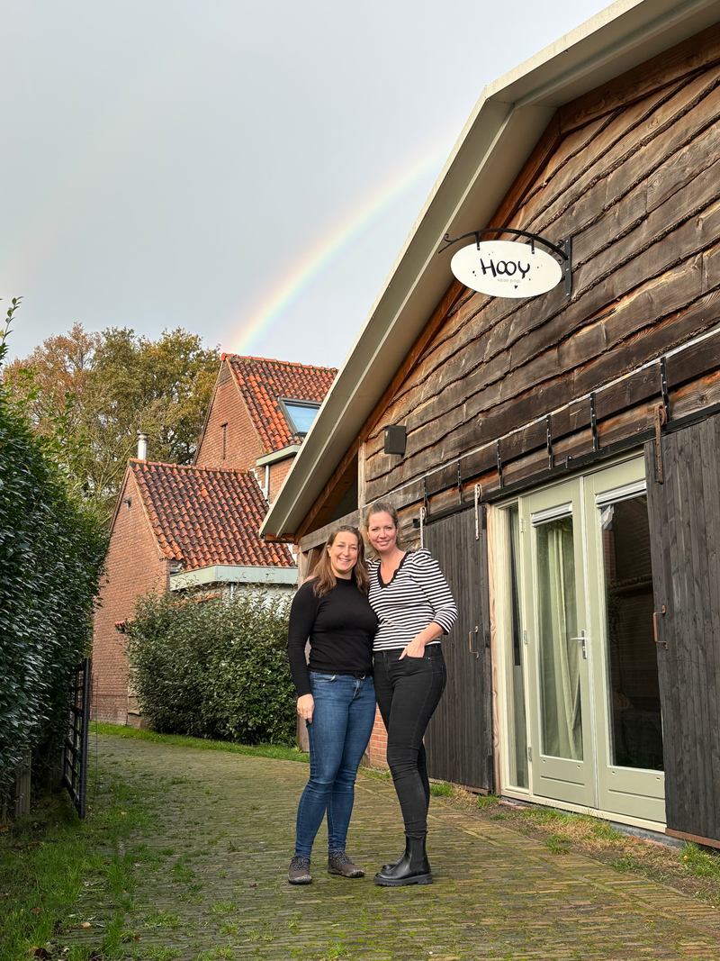 Human Design & coaching met paarden