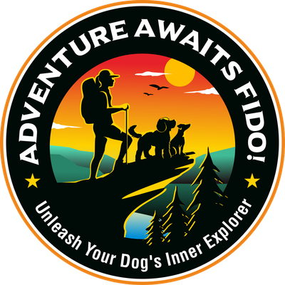 Adventure Awaits Fido!