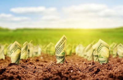 COMO INVERTIR EN PRODUCCIÓN DE MAÍZ O SOJA (100 Hectáreas)