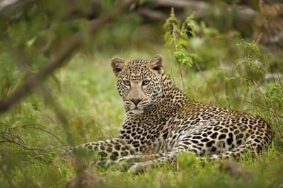 48 Km Zoo d’Arcachon image