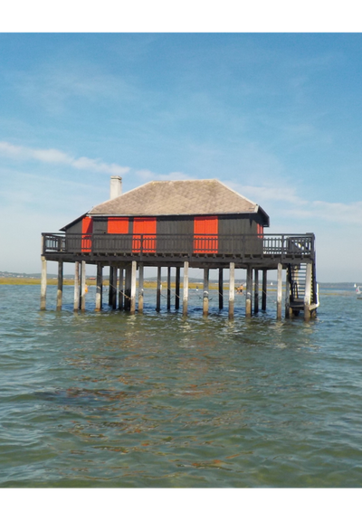 50 Km Jet ski 33 image