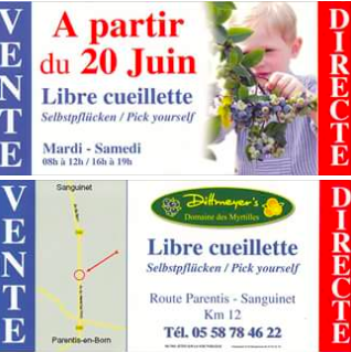 61 Km Domaine des Myrtilles image