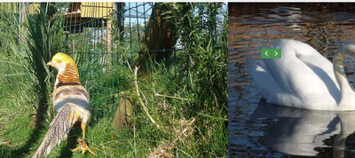 74 Km Animalia Parc Naujac image