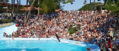 138 Km Zoo de la Palmyre image