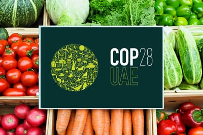 Declaración de Líderes sobre el Sistema Alimentario: un hito en la acción climática, pero el compromiso global debe materializarse en acciones a nivel local