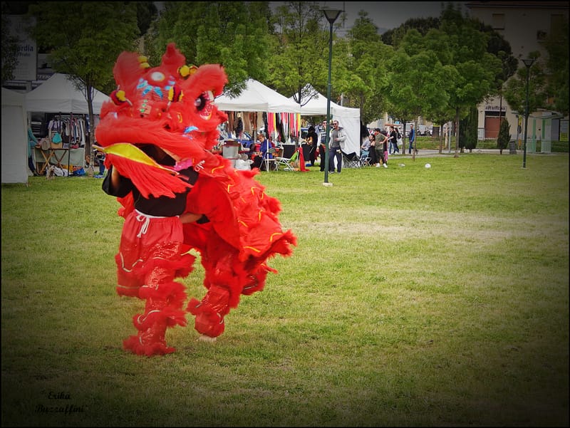 Festa dello Sport Prato 2014