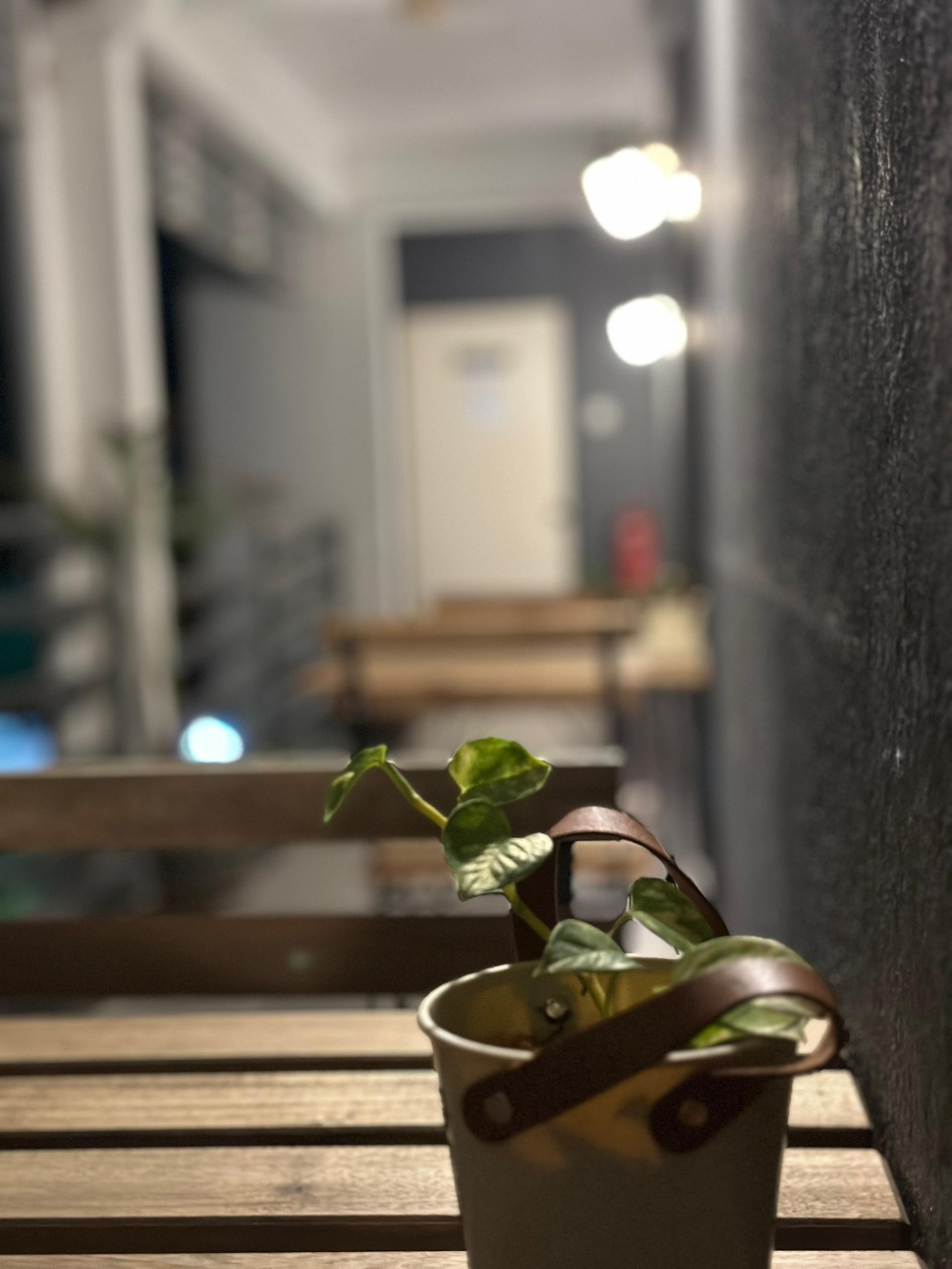 Step into Our Superior Rooms