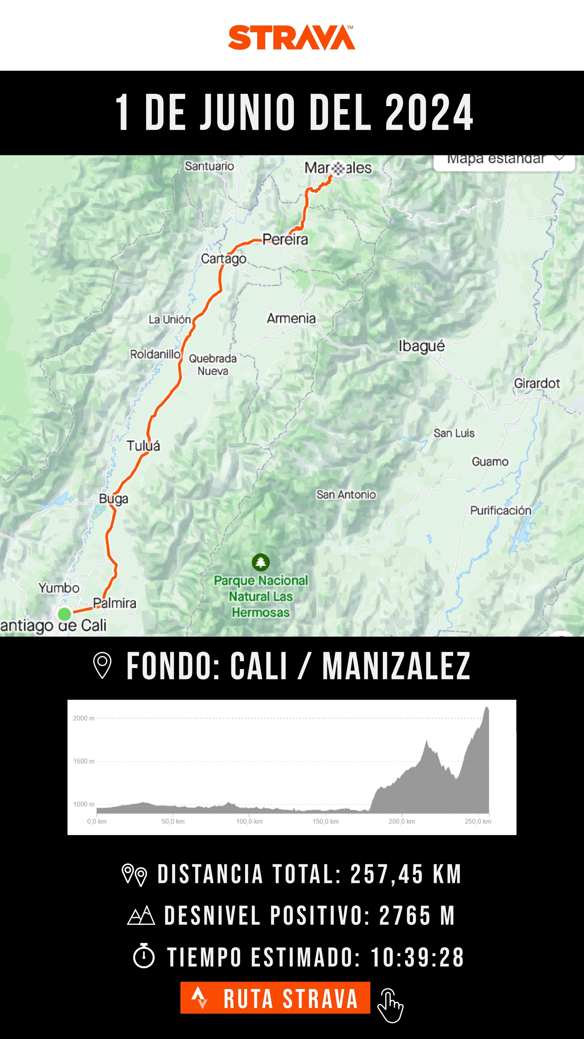 FONDO CALI / MANIZALEZ