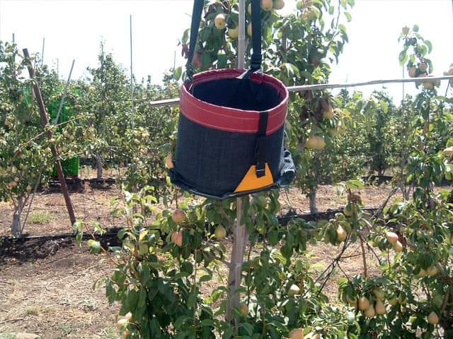 סוגים שונים של סלי קטיף 