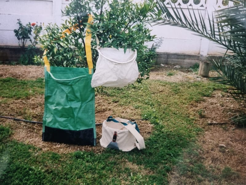 סוגים שונים של סלי קטיף 