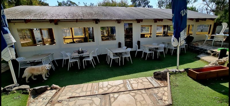 ברזנט לפי מידה אטום עם שקוף מותאם אישית