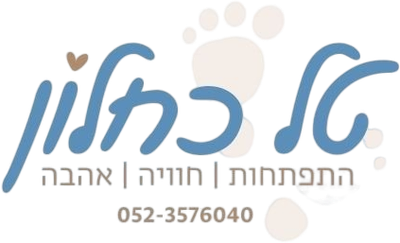 טל כחלון
