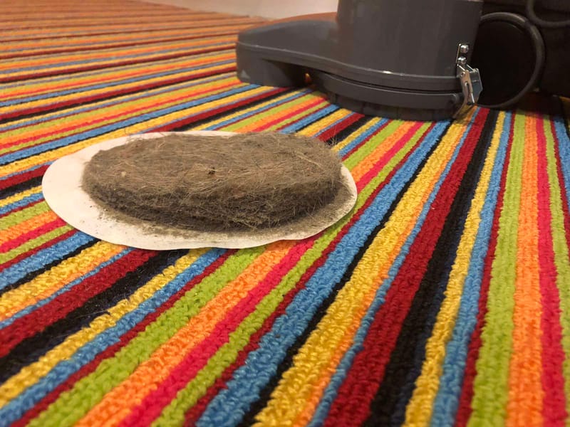 ΧΑΛΙ 2 ΕΤΩΝ ΠΡΩΤΟΣ ΚΑΘΑΡΙΣΜΟΣ