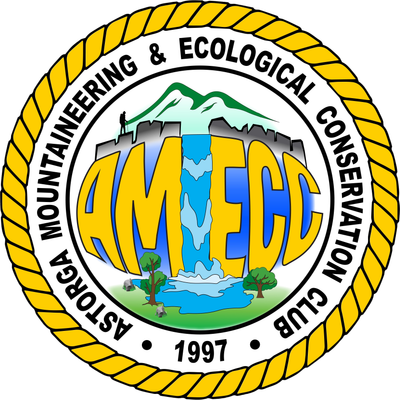 www.amecc.org.ph