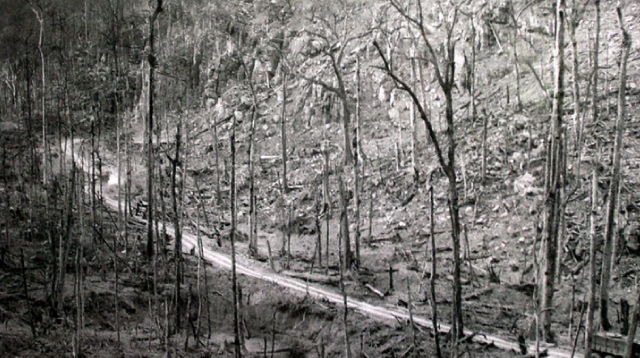 Vietnam War The chemical was Agent Orange, the occasion was the war in Vietnam, the time was 1961-71, and the country was South Vietnam.