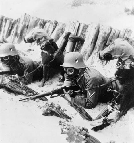 World War 1 Soldiers  has gas masks Raims, France