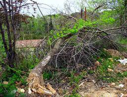 1990 Clinic of Zaragoza radiotherapy accident Killed 11