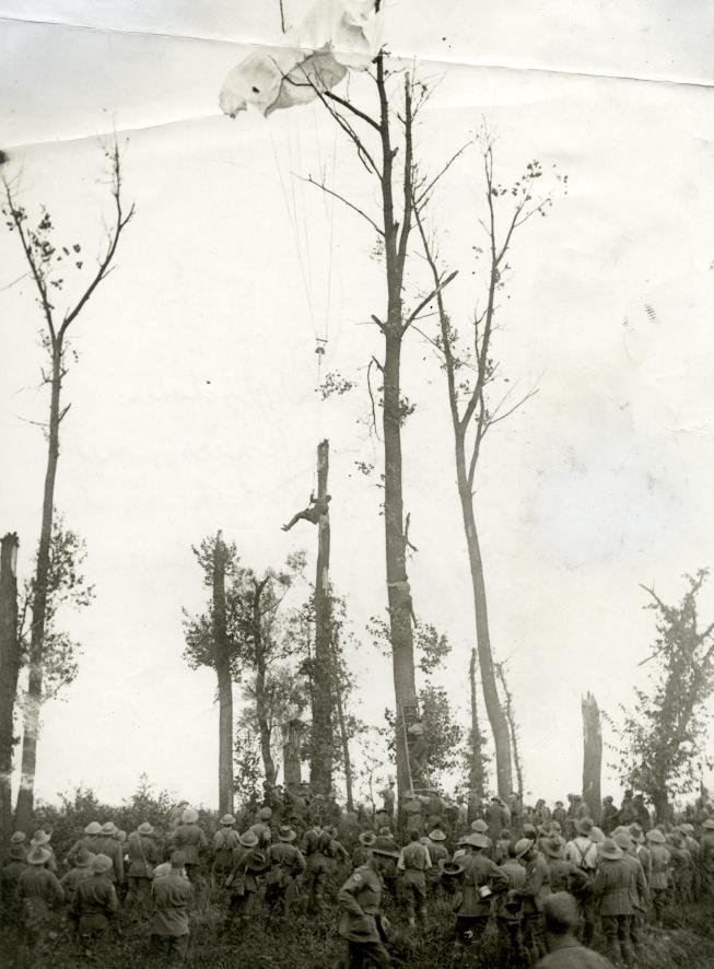 World War 1 The Great War. First World War. Pilot shot down with his parachute hanging from a tree. , 1918.