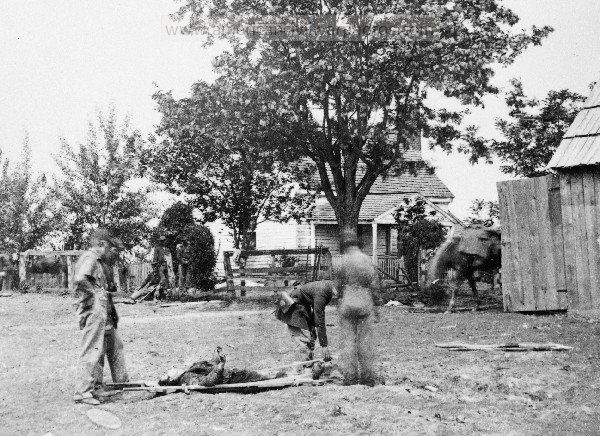 Civil War Scene of Ewell's attack, May 19, 1864, near Spottsylvania
