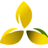 حياه فارما logo