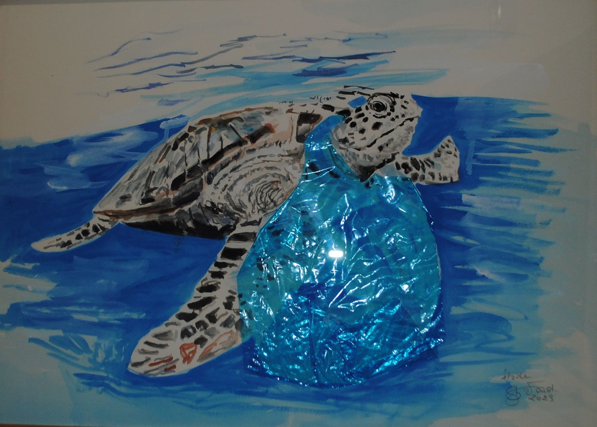 La tortue et les plastiques