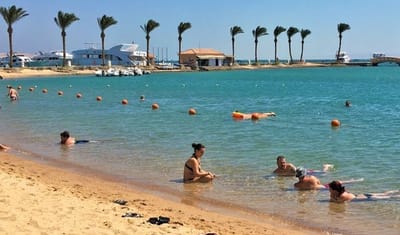 Food and beverage image