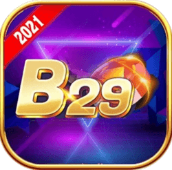 B29 Club Game
