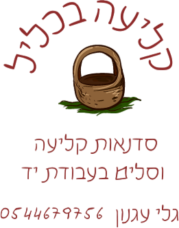 גלי עגנון