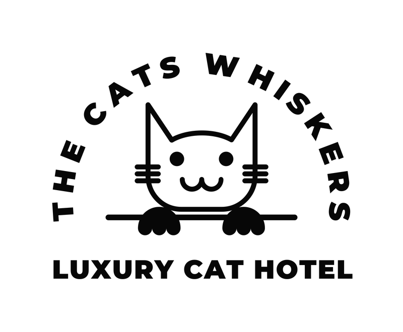 rates-the-cats-whiskers