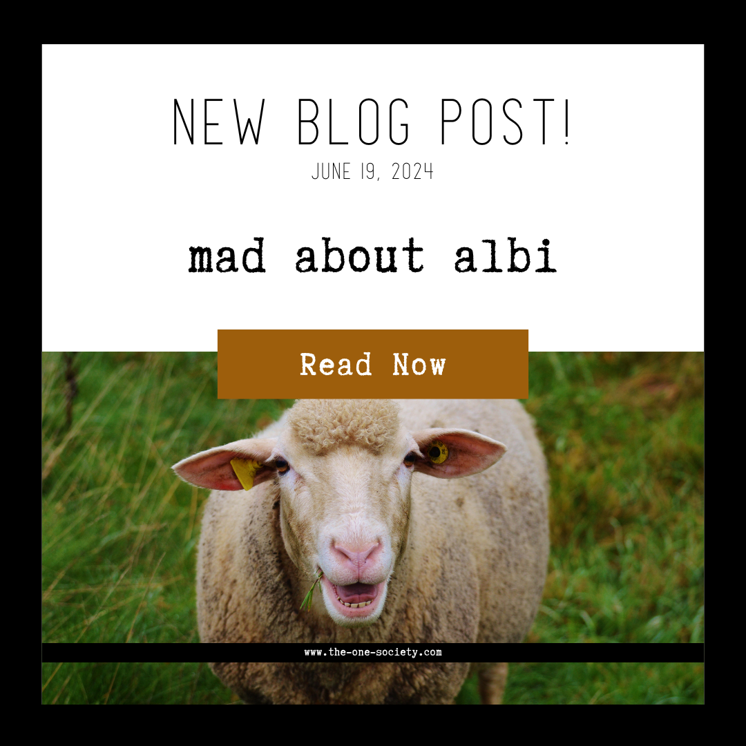 mad about Albi