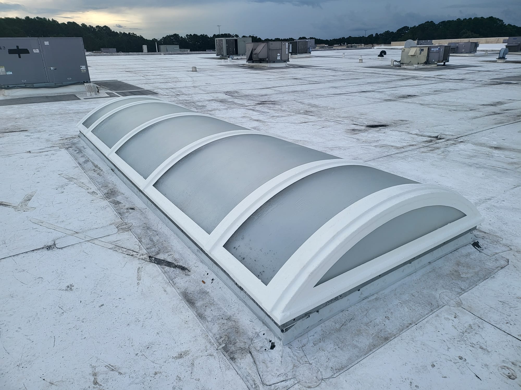 Skylight Rehabilitation System