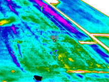 Infrared Roof Serveys