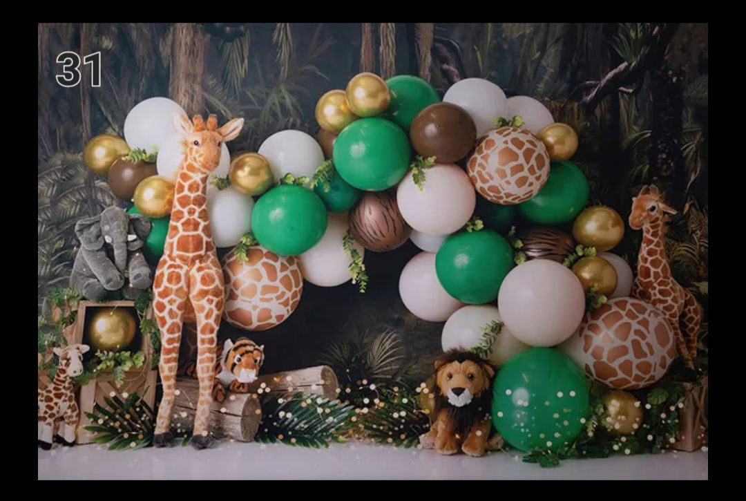 בסטודיו מגוון גדול של רקעים לבחירתכם. 