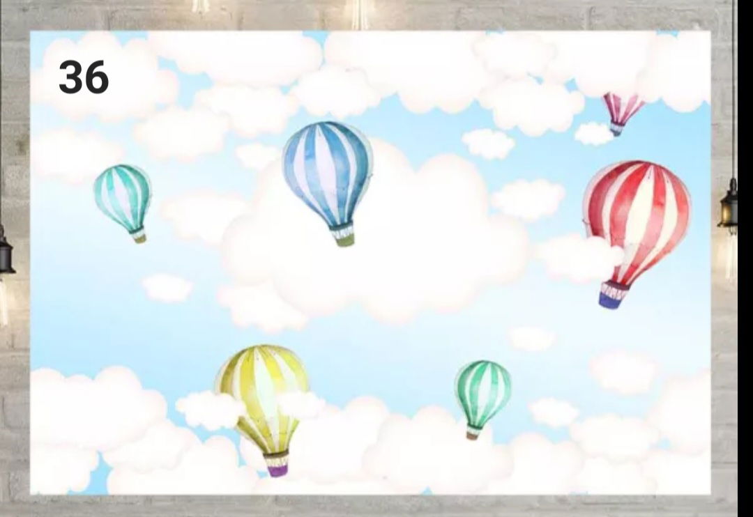 בסטודיו מגוון גדול של רקעים לבחירתכם. 