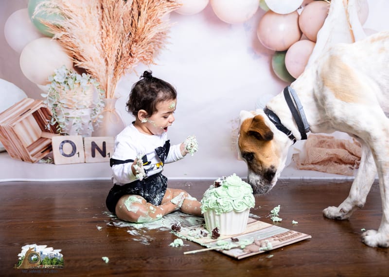 סמאשקייק, קייק סמאש או פשוט צילומי גיל שנה  רגעים מתוקים מחגיגת יום הולדת הראשונה של הבייבי.