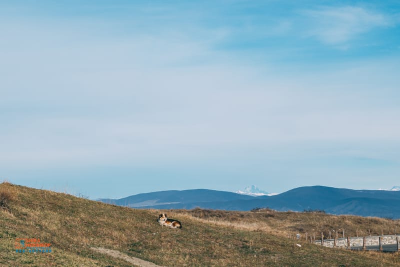 צילומי נוף ורחוב - טביליסי גאורגיה